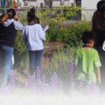 Greening Communities