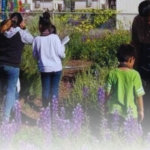 Greening Communities